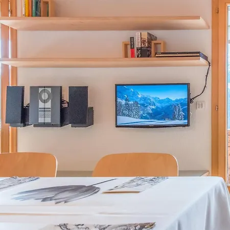 Millennium Apartment *