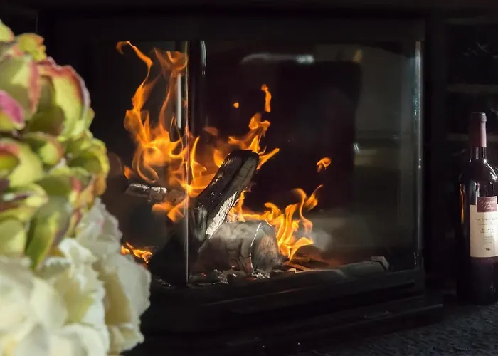 Millennium Lejlighed Wengen