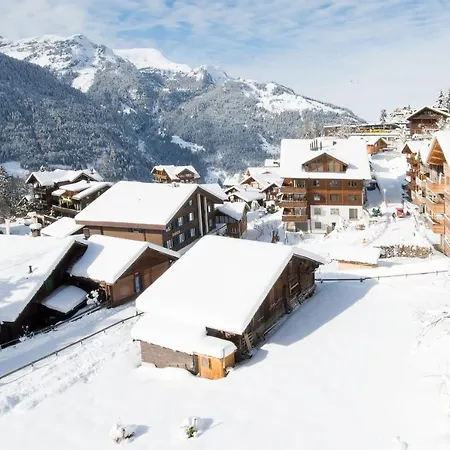 Millennium Appartement *